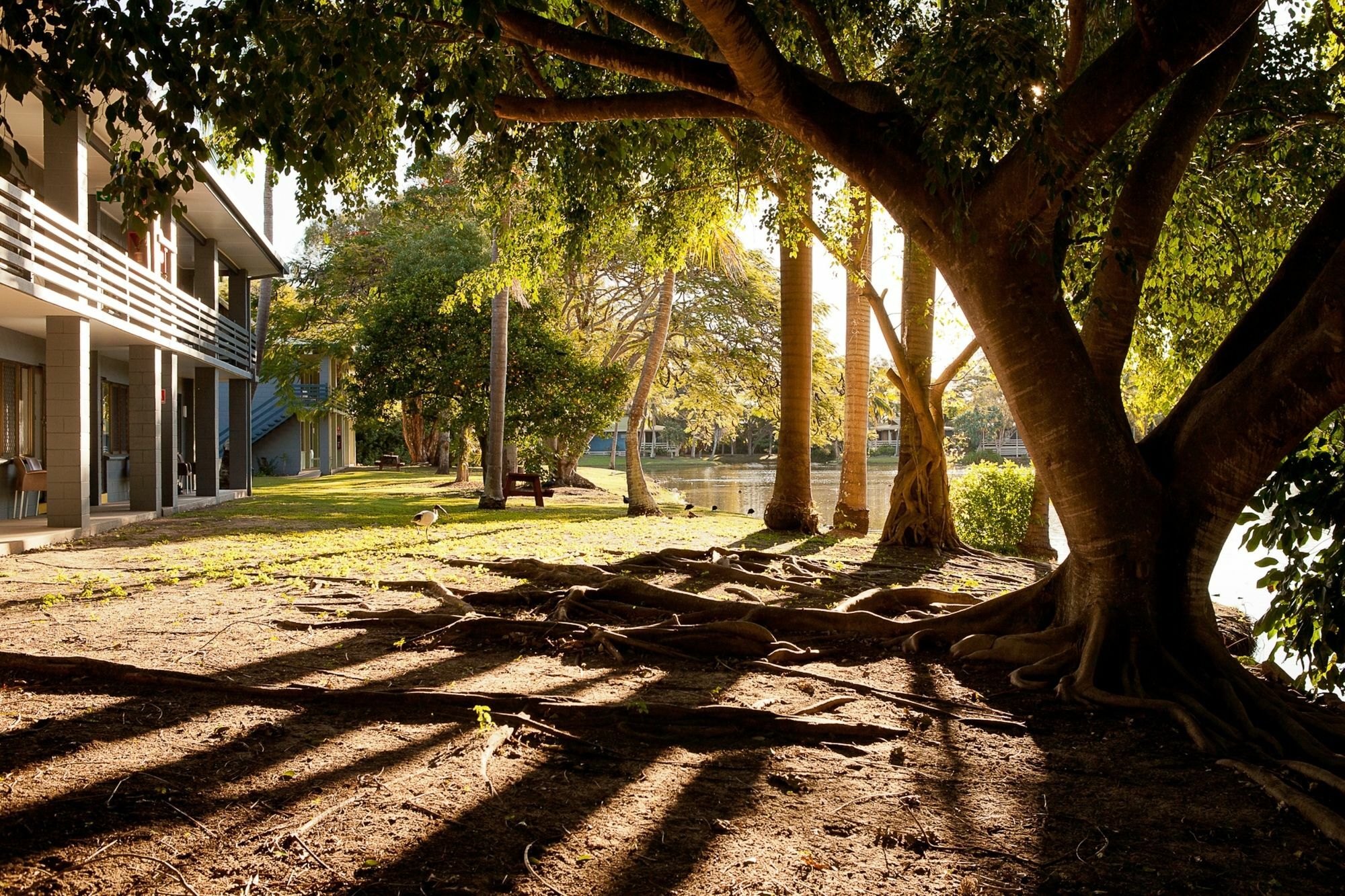 Kondari Hotel Hervey Bay Bagian luar foto